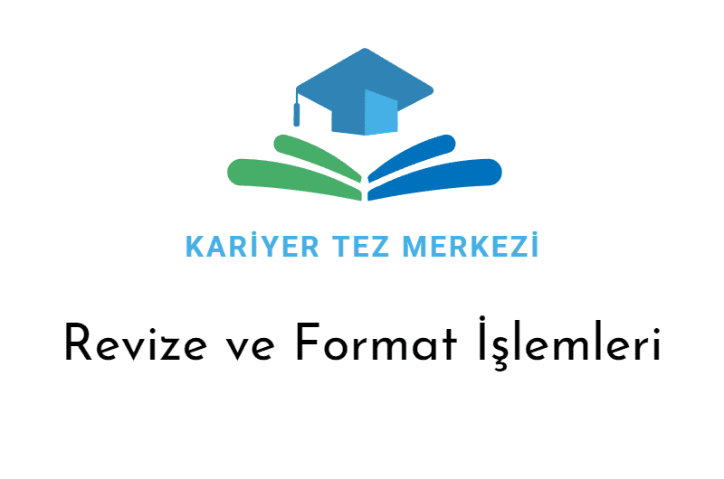 revize format revize format