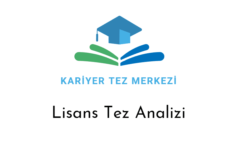 lisans analiz