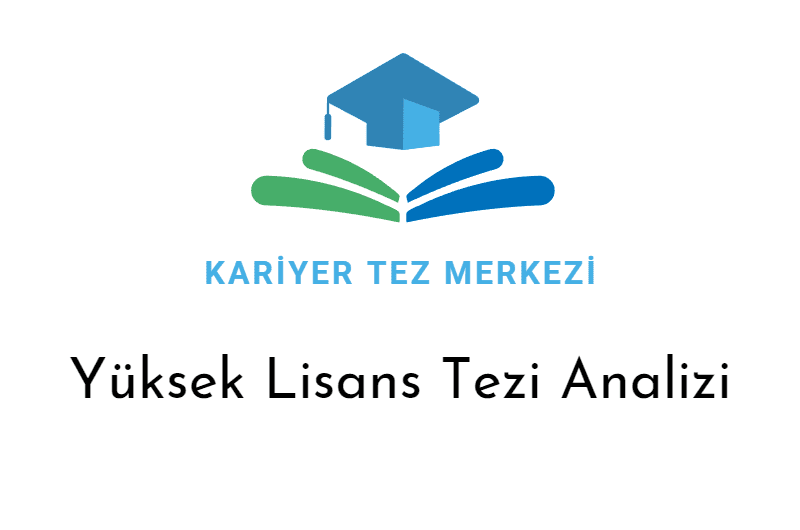 yüksek lisans analiz
